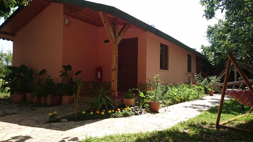 Sera Pansiyon Cirali Exterior photo